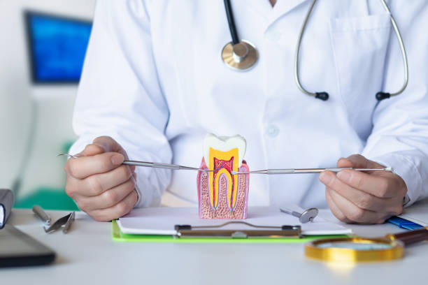 Best After-Hours Emergency Dentist in Mount Vernon, IL